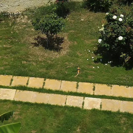 واستوديوهات ليونيداس فندق